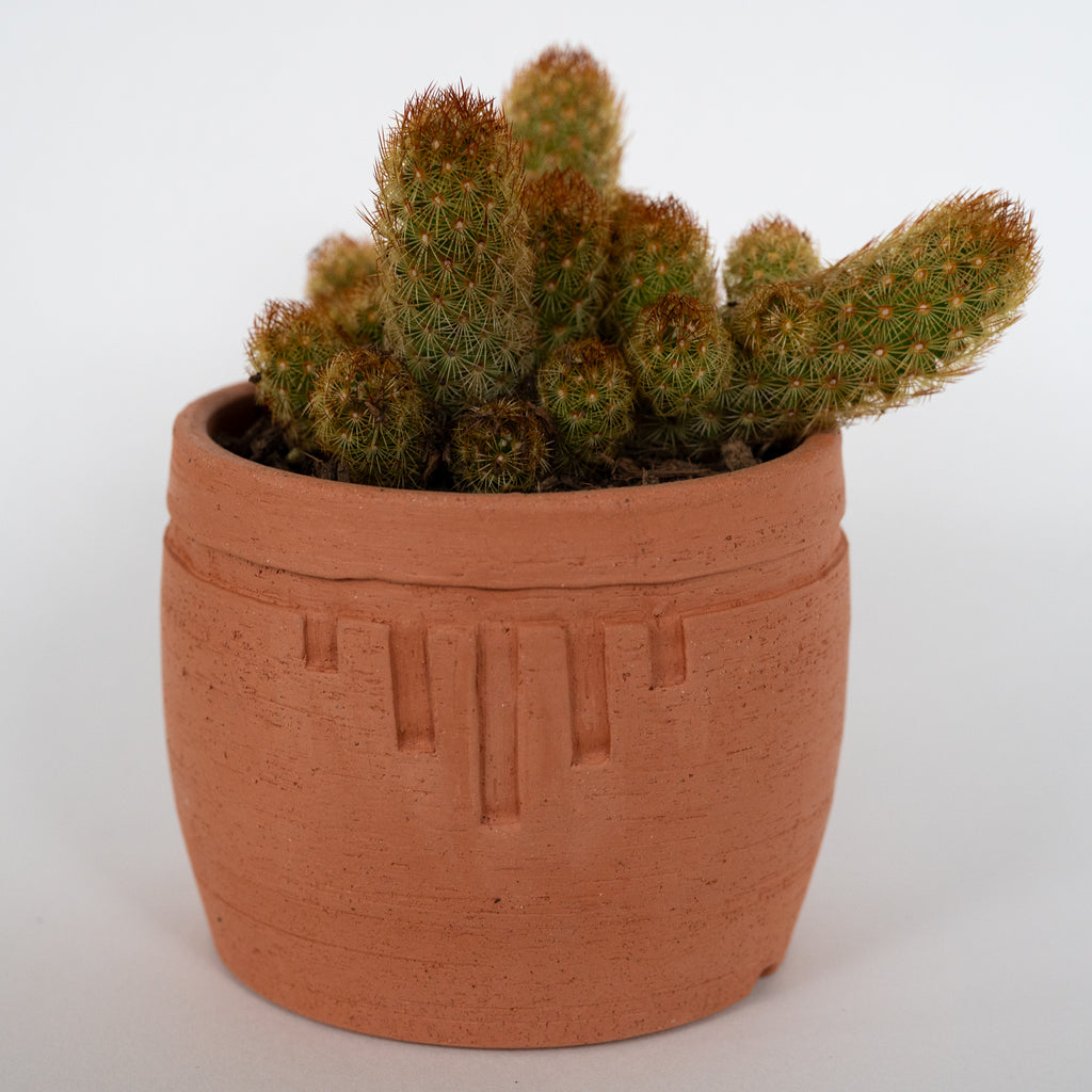 Carved planter