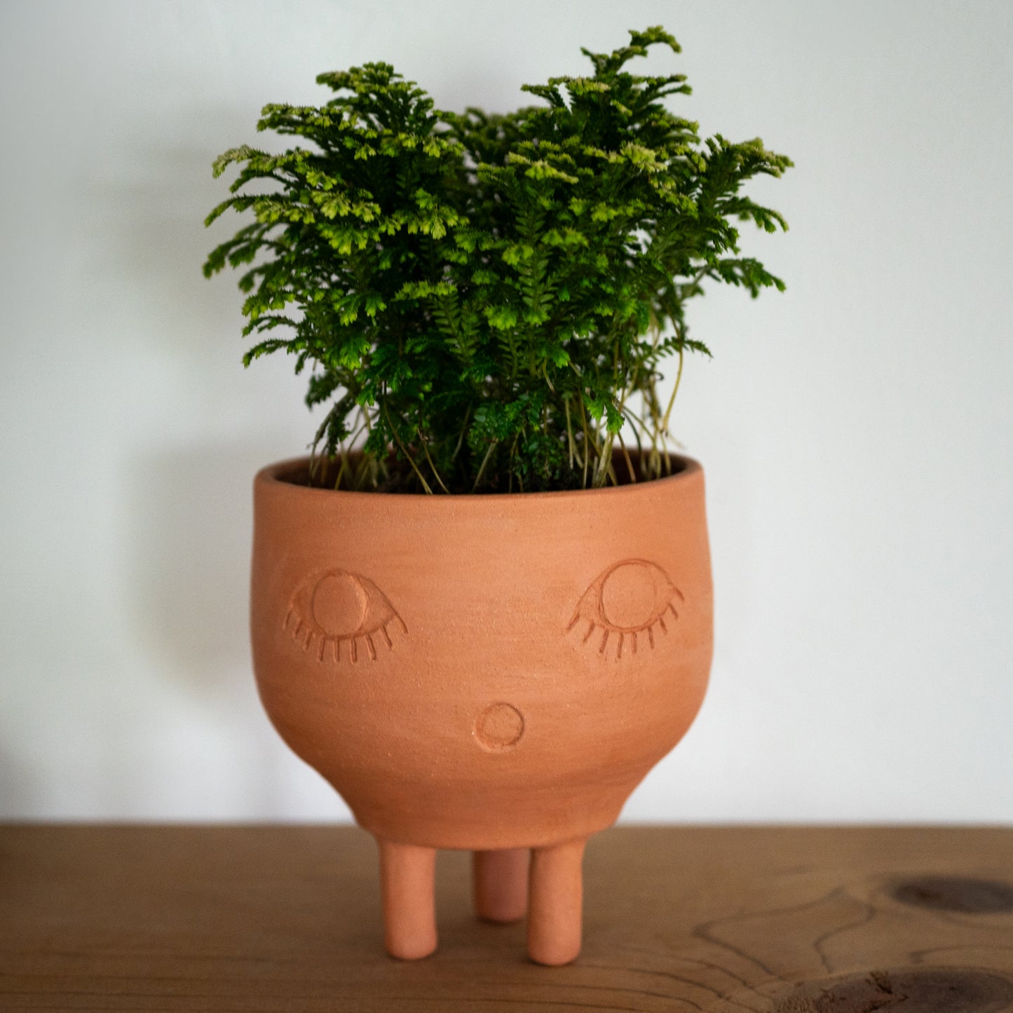 Face Planter