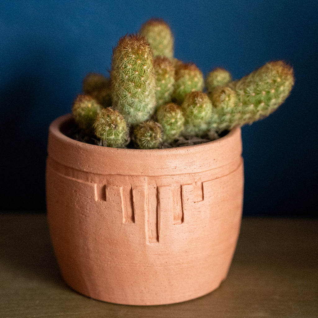 Carved planter